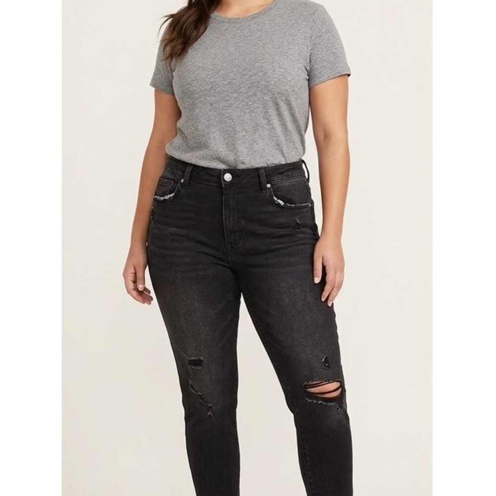 Risen Olivia High-Rise Distressed Skinny Jeans / Nirvana Skinny series. Size 11